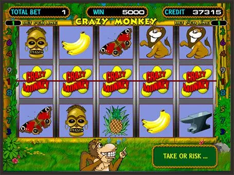 Crazy monkey1
